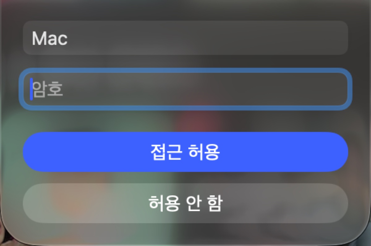 관리자 암호 창: 접근 허용